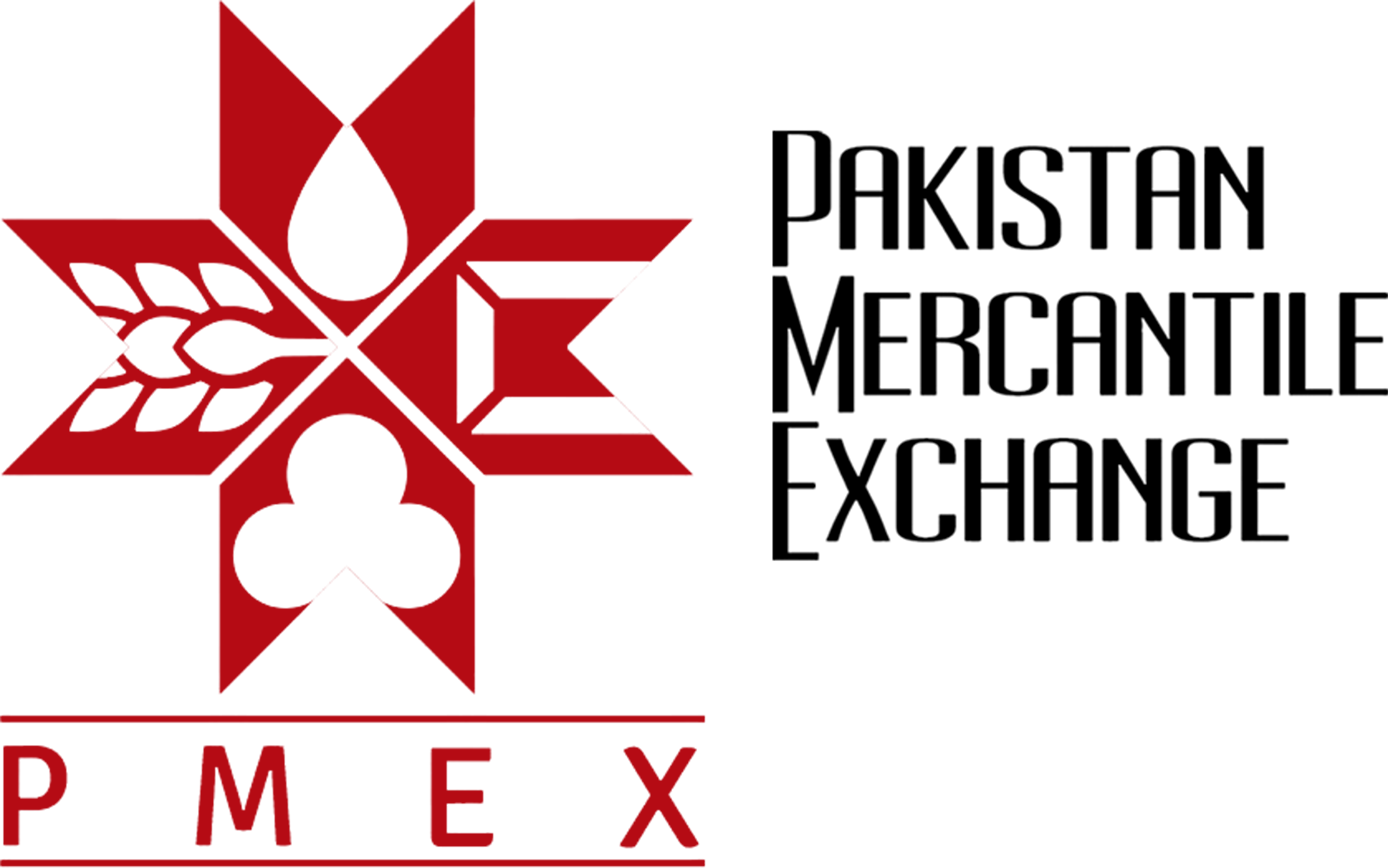 PMEX Logo